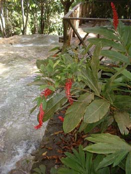 DSCF0009